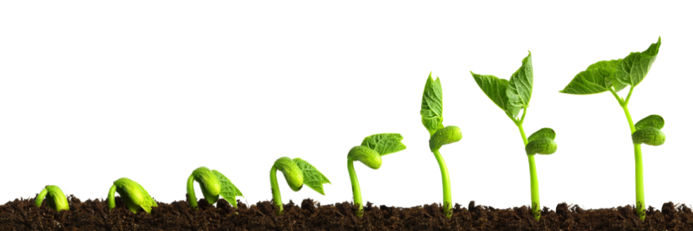 Azoter – riešenie pre mnohých pestovateľov