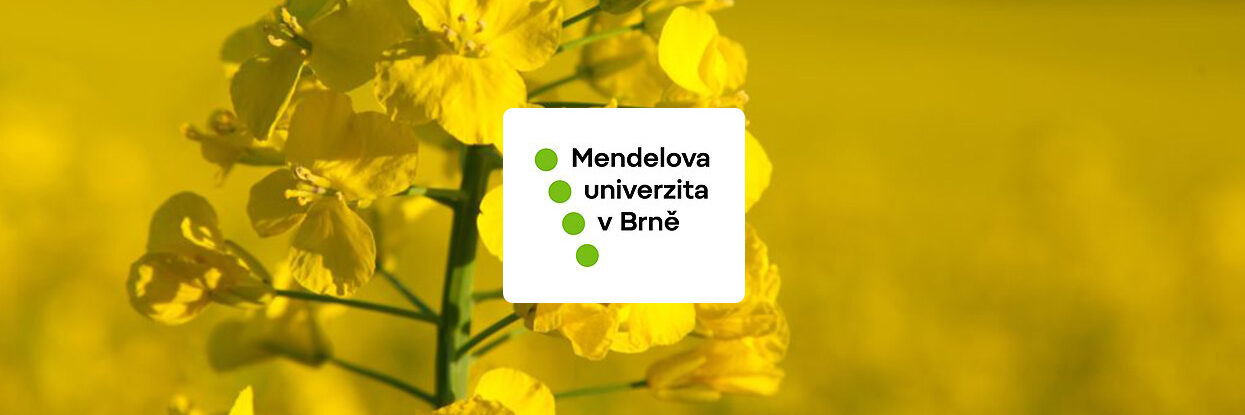 repka-azoter repka azoter