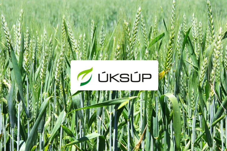 psenica ozimna azoter uksup