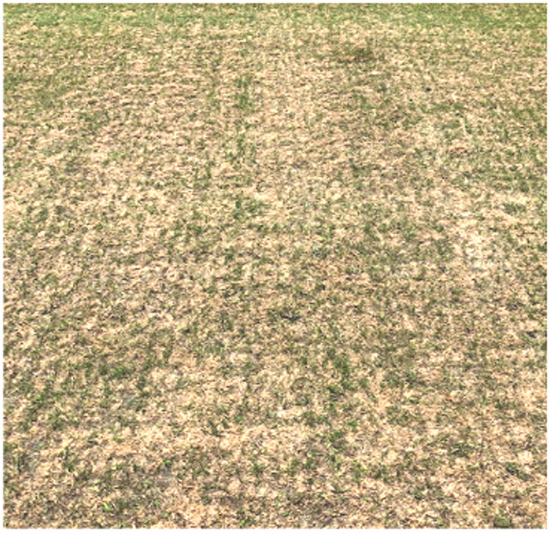 travnik-spartak-trnava--13 travnik-spartak-trnava--13