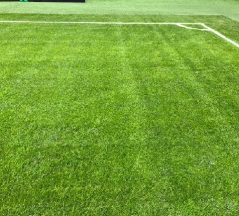 travnik-spartak-trnava--14 travnik-spartak-trnava--14