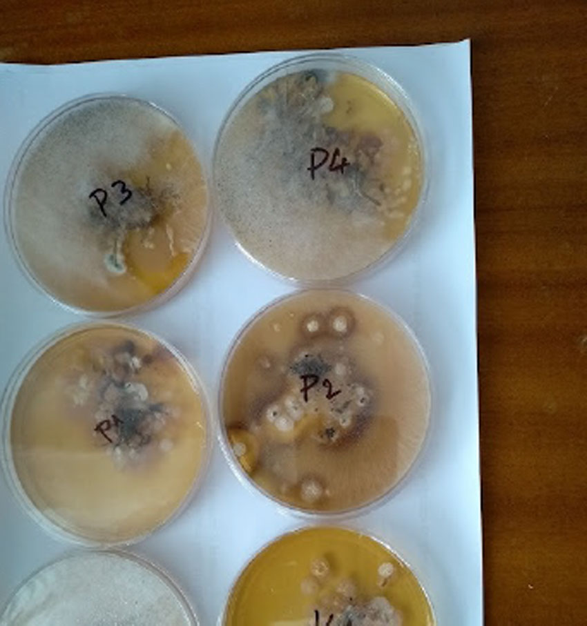 travnik-spartak-trnava--3 travnik-spartak-trnava--3