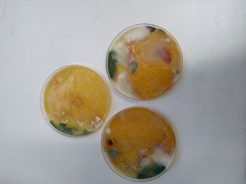 travnik-spartak-trnava--9 travnik-spartak-trnava--9