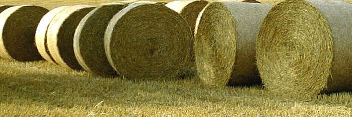 Možnosti zefektívnenia rozkladu slamy a vytvorenia vhodných živinových podmienok pre následné plodiny