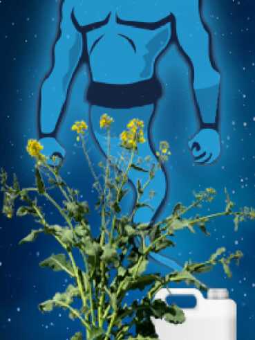 AZOTER Agromagazin 8 2021 WEB