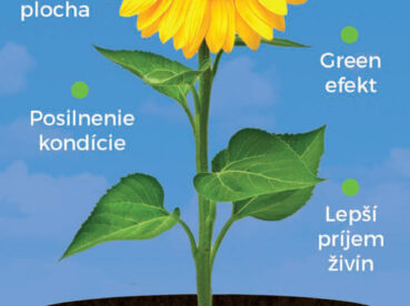 AZOTER Nase pole 4 2021