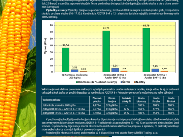 AZOTER pokus Nase pole 3 2022