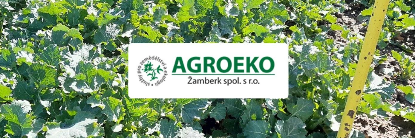 repka—clanok—azoter repka clanok azoter